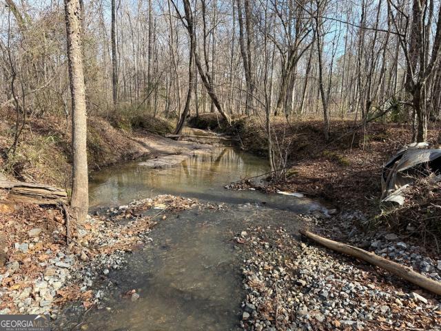 Land for sale in Jeffersonville, Georgia