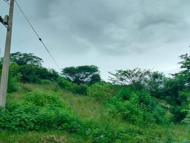 Land for sale in Chatsworth