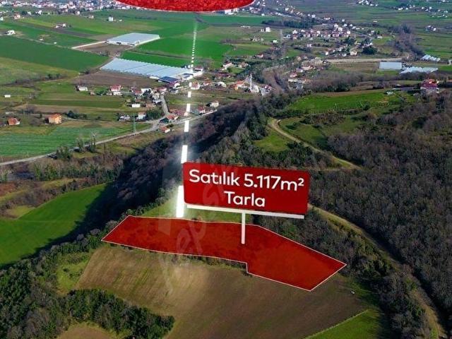 Dereler, 19 Mayıs içerisinde satılık Arsa