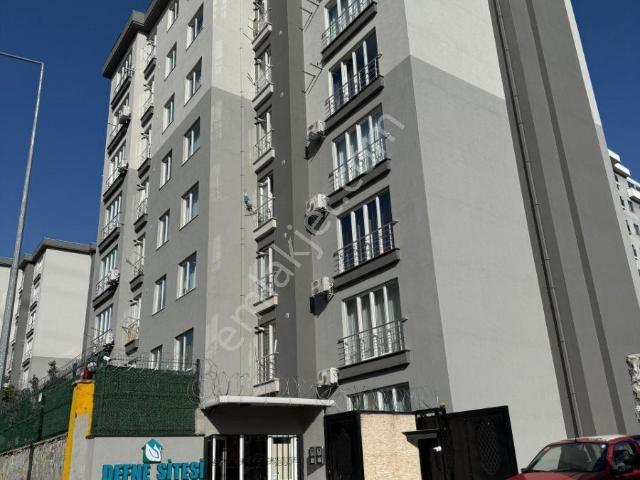 Pendik, İstanbul içerisinde kiralık mülk