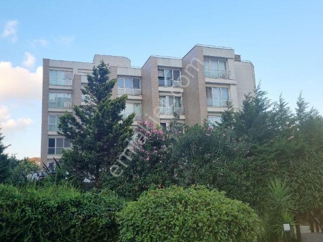 Pendik, İstanbul içerisinde kiralık mülk