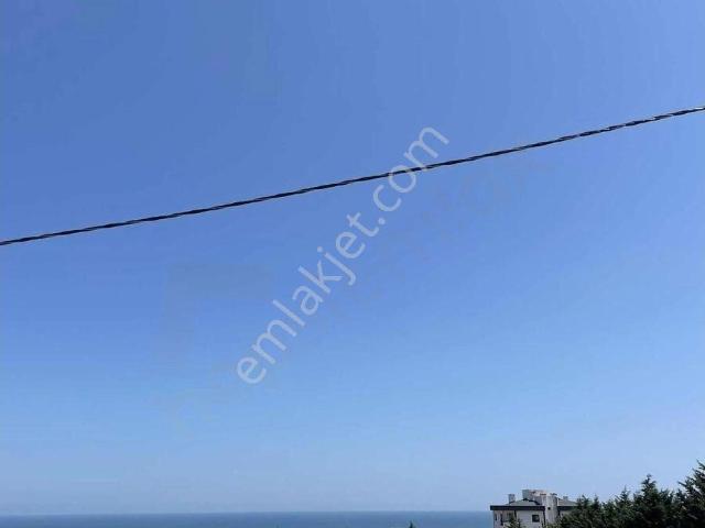 Atakum, Samsun içerisinde kiralık mülk