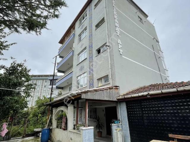 İstiklal Mahallesi, Atakum içerisinde kiralık mülk