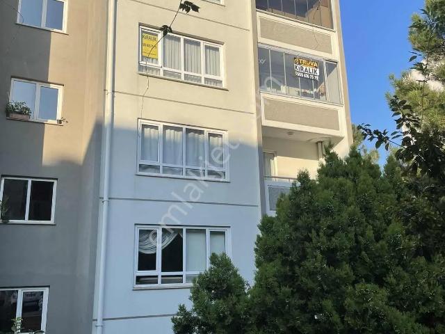 Pelitköy, Atakum içerisinde kiralık mülk