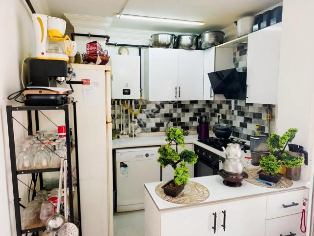 İlkadim, Samsun içerisinde kiralık mülk