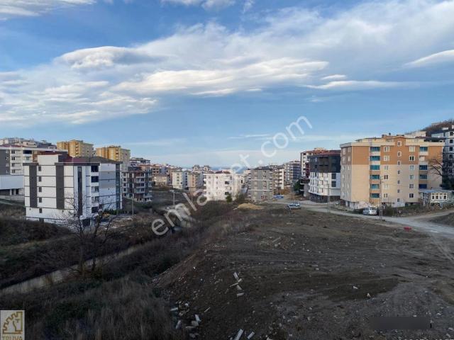Atakum, Samsun içerisinde satılık mülk