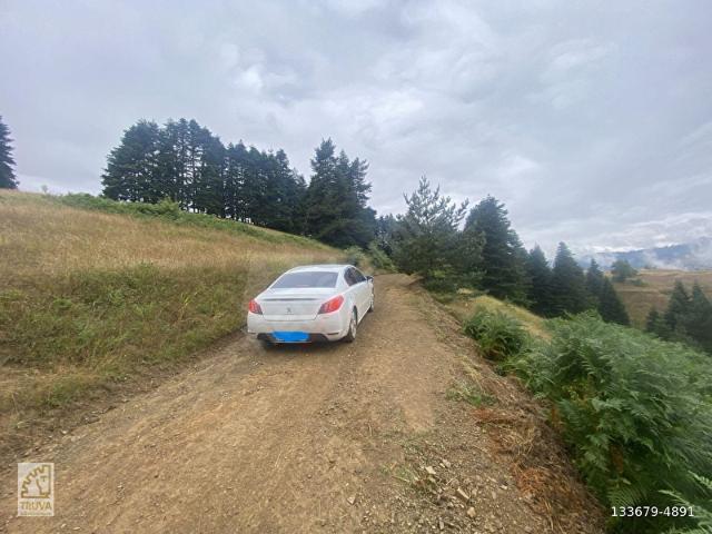 Alaçam, Samsun içerisinde satılık Arsa