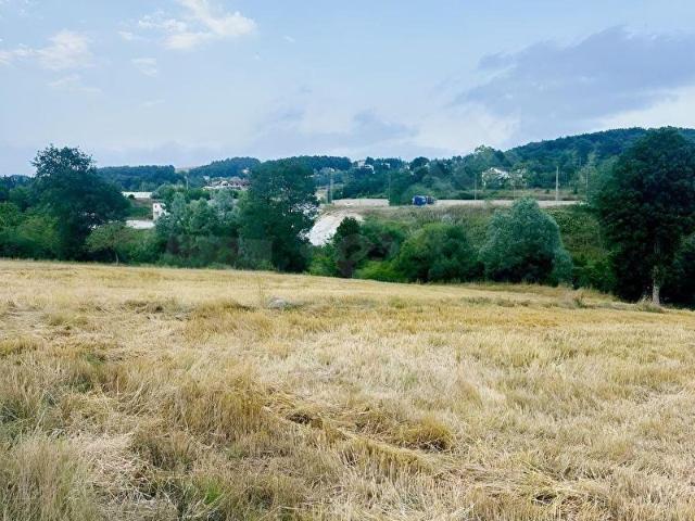 Yosunlu, Kavak içerisinde satılık Arsa