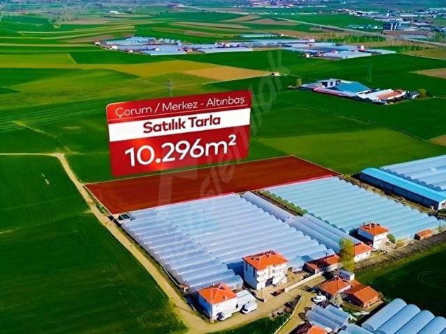 Altınbaş, Çorum Merkez içerisinde satılık Arsa