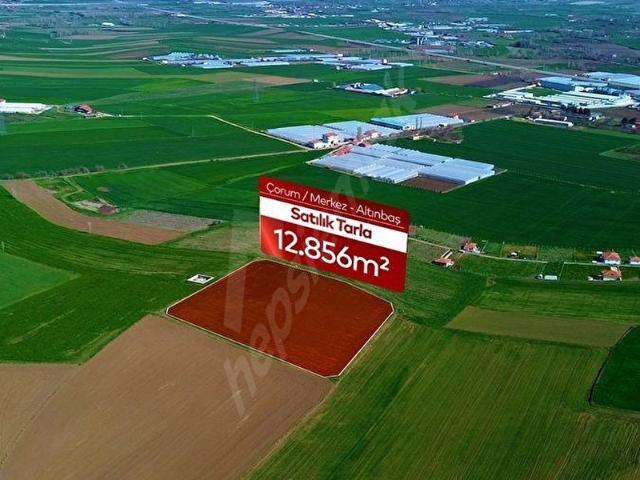 Çorum Merkez, Çorum içerisinde satılık Arsa