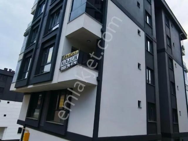 Atakum, Samsun içerisinde kiralık mülk