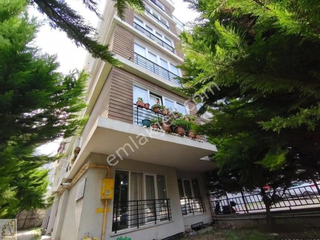 Atakum, Samsun içerisinde kiralık mülk