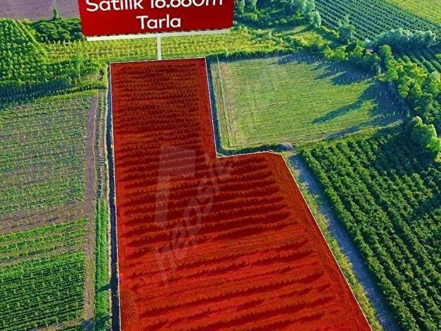 Çarşamba, Samsun içerisinde satılık Arsa