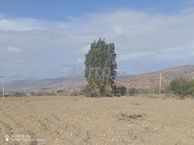 Propriété vente à Al Hoceïma, Tanger-Tétouan