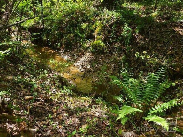 Land for sale in Tryon, North Carolina