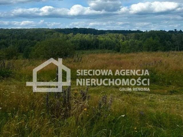 Grunt na sprzedaż w Trzepowo, Pomorskie