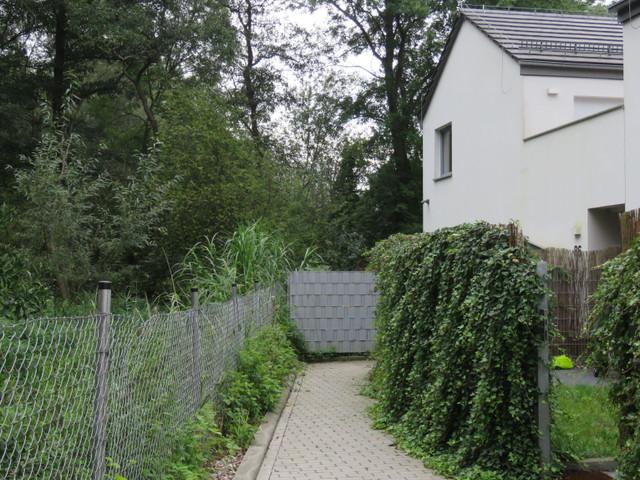Mieszkanie do wynajęcia w Wrocław, Dolnośląskie