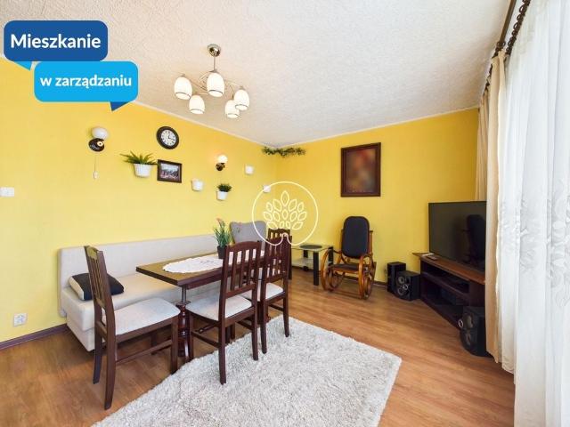 Mieszkanie do wynajęcia w Bydgoszcz, Kujawsko-pomorskie