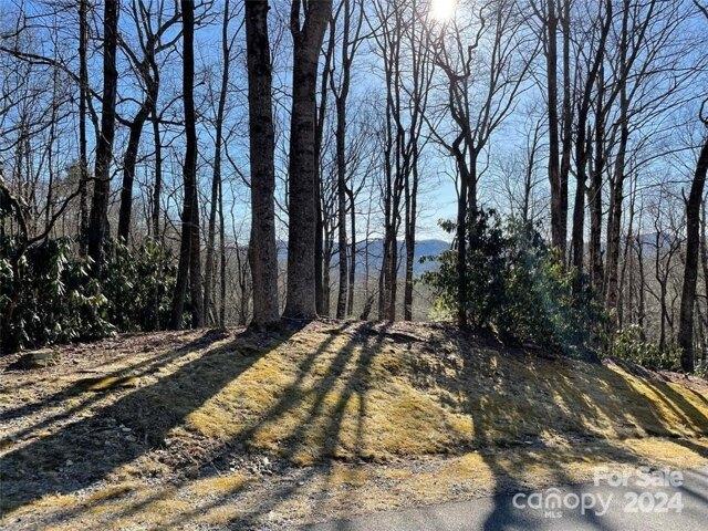 Land for sale in Brevard