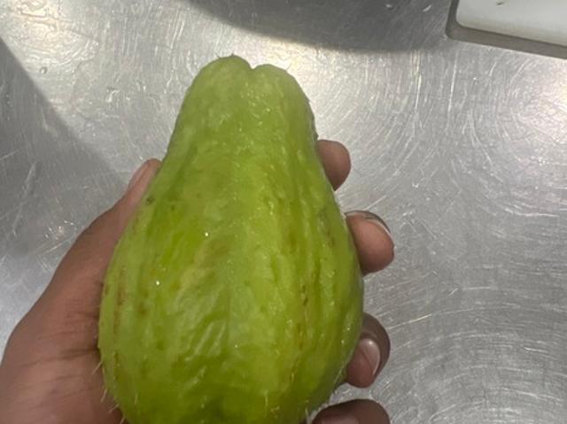 Room for rent in Vancouver, British Columbia