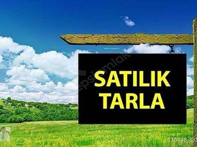 Van Merkez, Van içerisinde satılık mülk