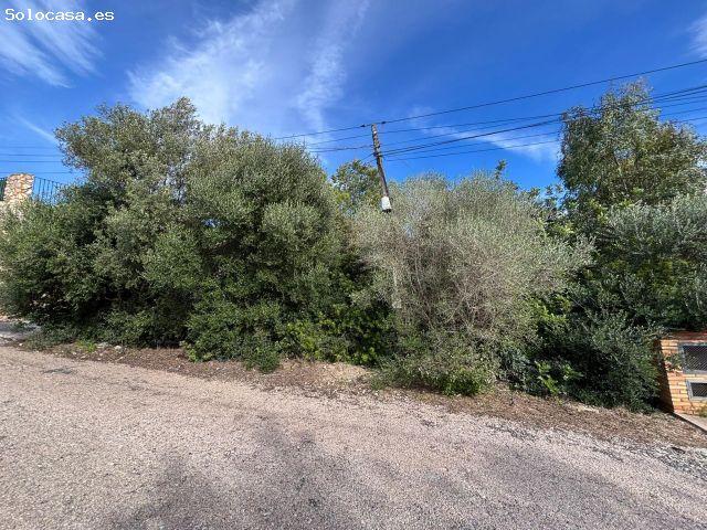 Local Comercial en venta en Urbanització Els Llacs, la Ribera Alta