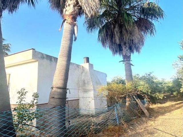 Casa en venta en Alcolea Del Río, Andalucía