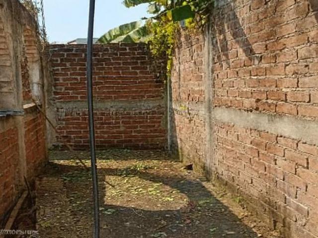 Tu Paraíso Tropical te Espera en Zihuatanejo