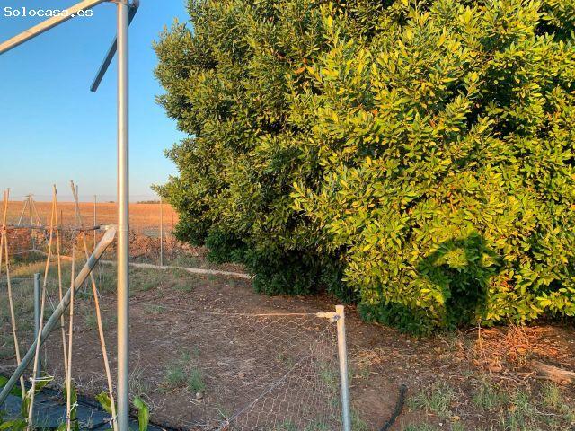 Local Comercial en venta en Llanos de Olivenza, Extremadura