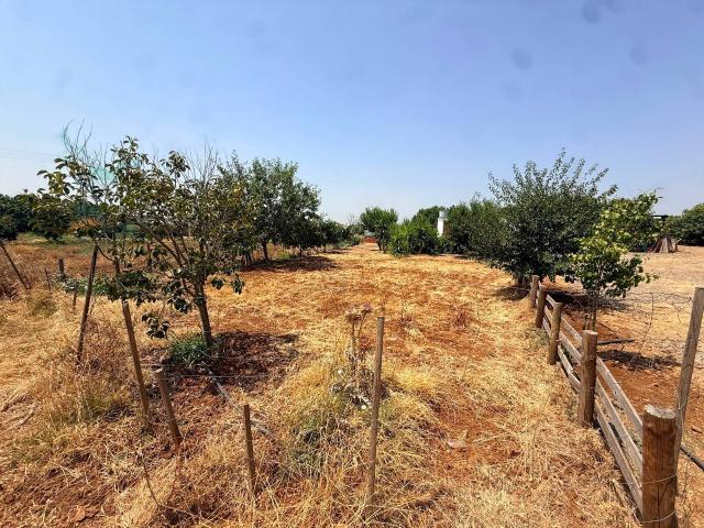 Terreno en venta en Llanos de Olivenza, Extremadura