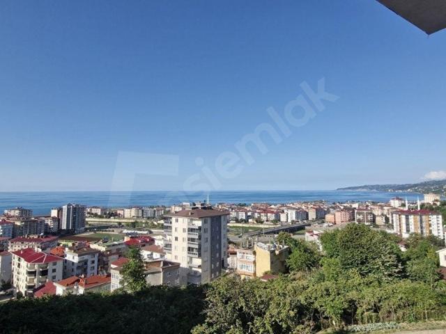 Görele, Giresun içerisinde satılık mülk