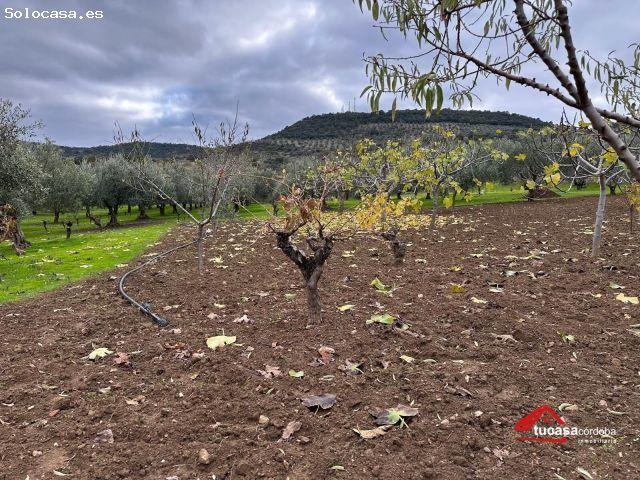 Local Comercial en venta en Villanueva Del Rey, Andalucía