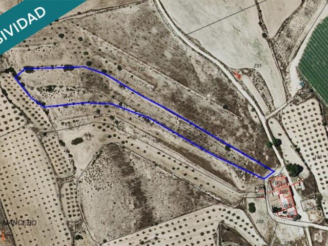Terreno en venta en Úbeda, el Vinalopó Mitjà / El Vinalopó Medio