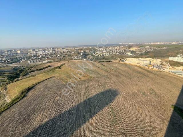 Başakşehir, İstanbul içerisinde kiralık mülk