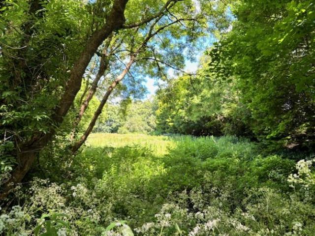 Property for sale in Ardfert, South Tipperary