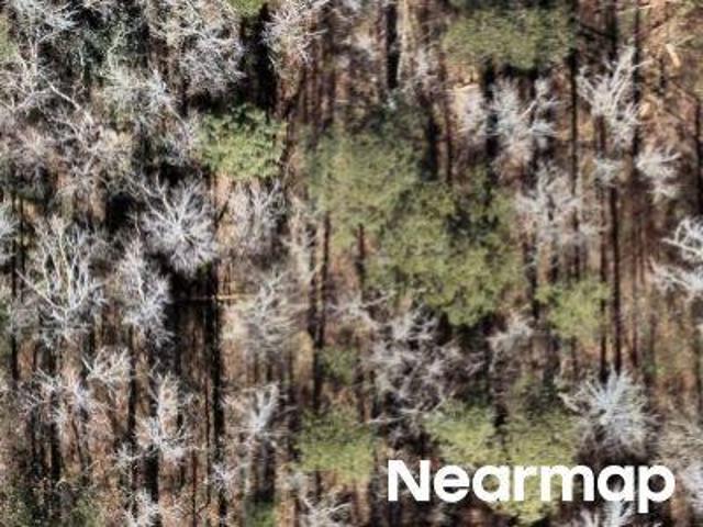 Land for sale in Virginia