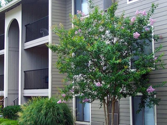 Apartment for rent in Richmond, Virginia
