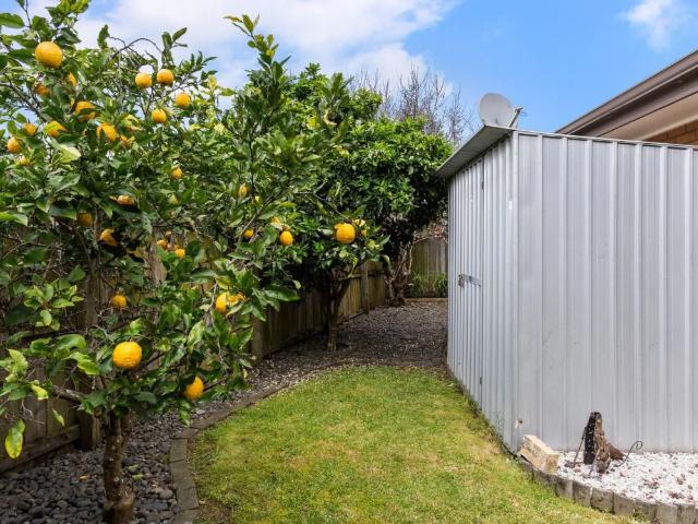 House for rent in Manurewa