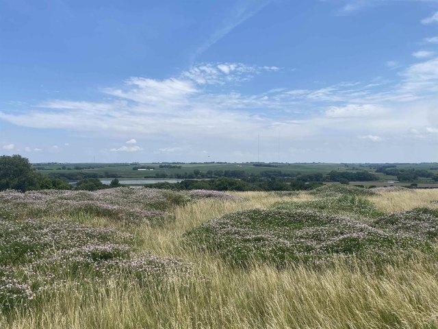 Land for sale in Plymouth, Iowa