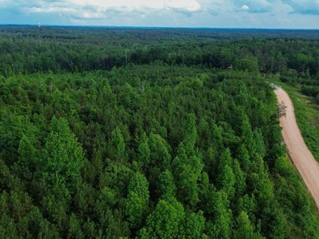 Land for sale in Bath Springs, West Tennessee
