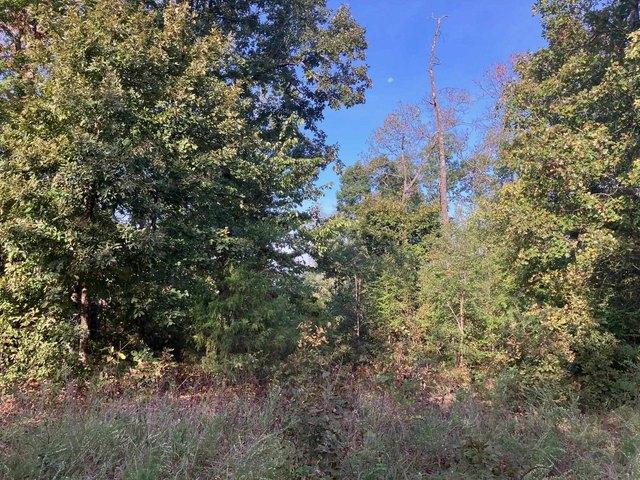 Land for sale in Hardy, Sharp County