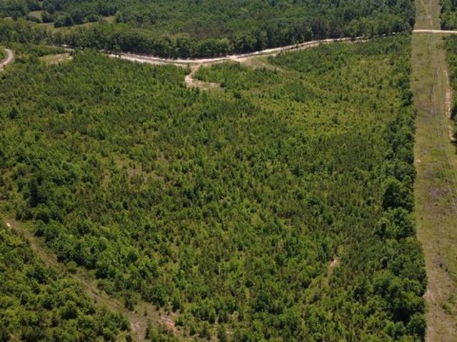 Land for sale in Bath Springs, West Tennessee