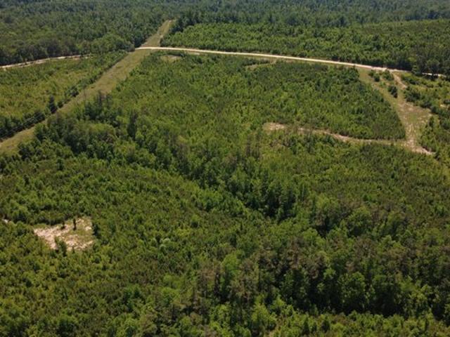 Land for sale in Tennessee