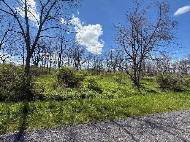 Land for sale in Trumansburg, New York