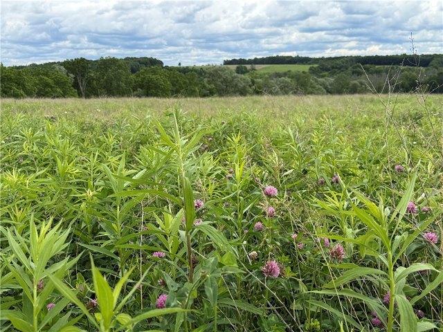 Farm for sale in Trumansburg, New York