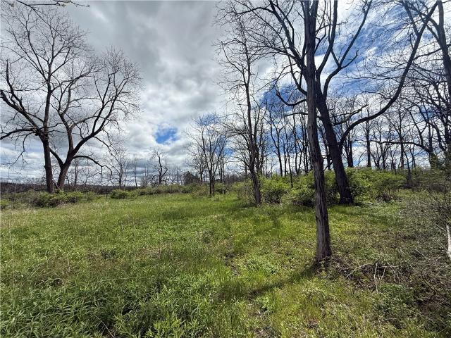 Land for sale in Trumansburg, New York