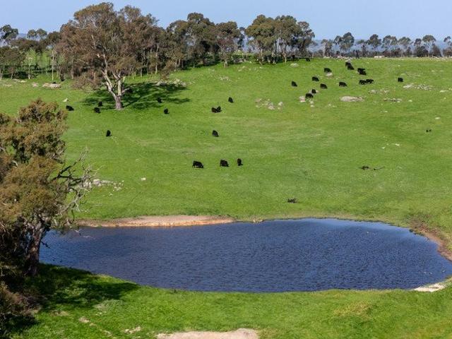 Cottage for sale in Woodside, South Australia