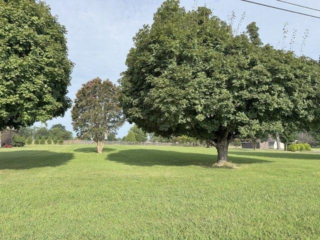 Land for sale in Tennessee