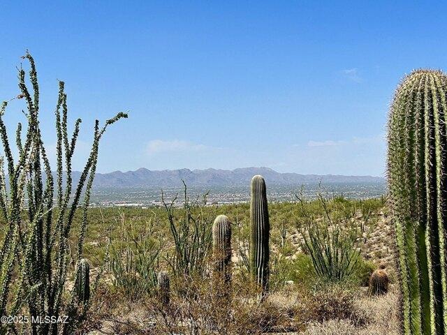 Land for sale in Arizona