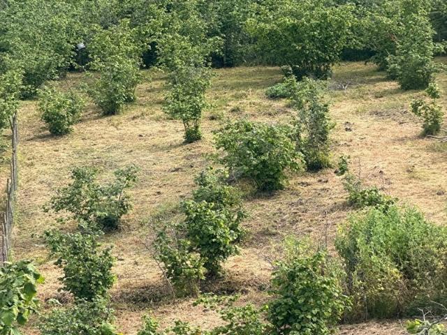 Ünye Küçük Sanayi Sitesi, Ünye içerisinde satılık Arsa
